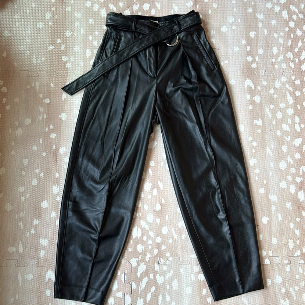 Black Vegan Leather Babaton pants from Aritzia